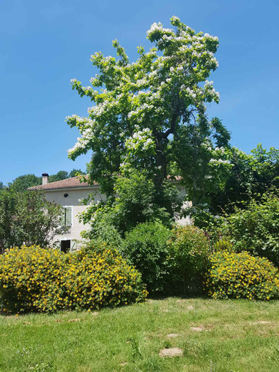 au coeur du bois maison d'hote jardin